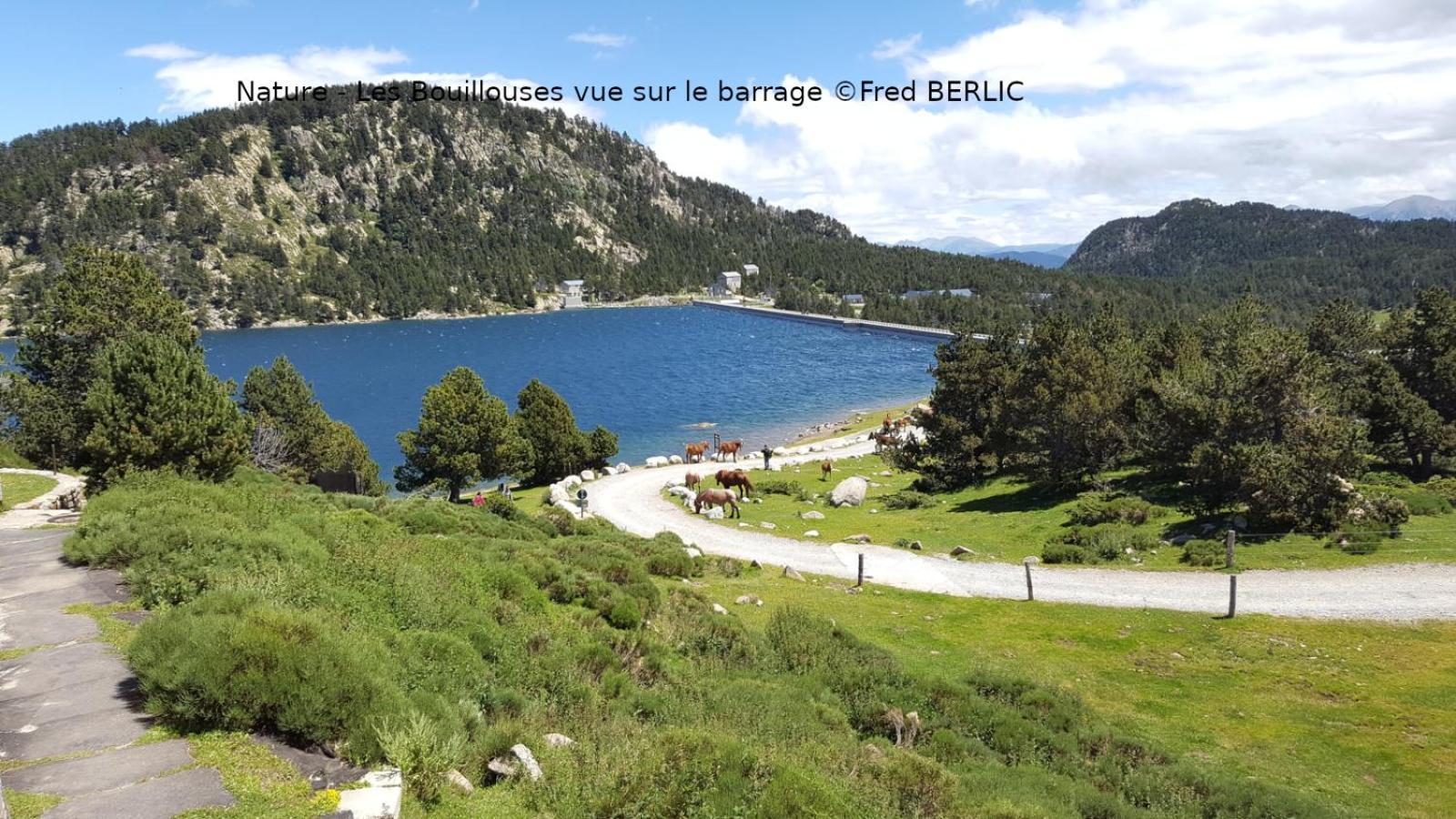 Camping Las Asperas*** Palau-de-Cerdagne Luaran gambar