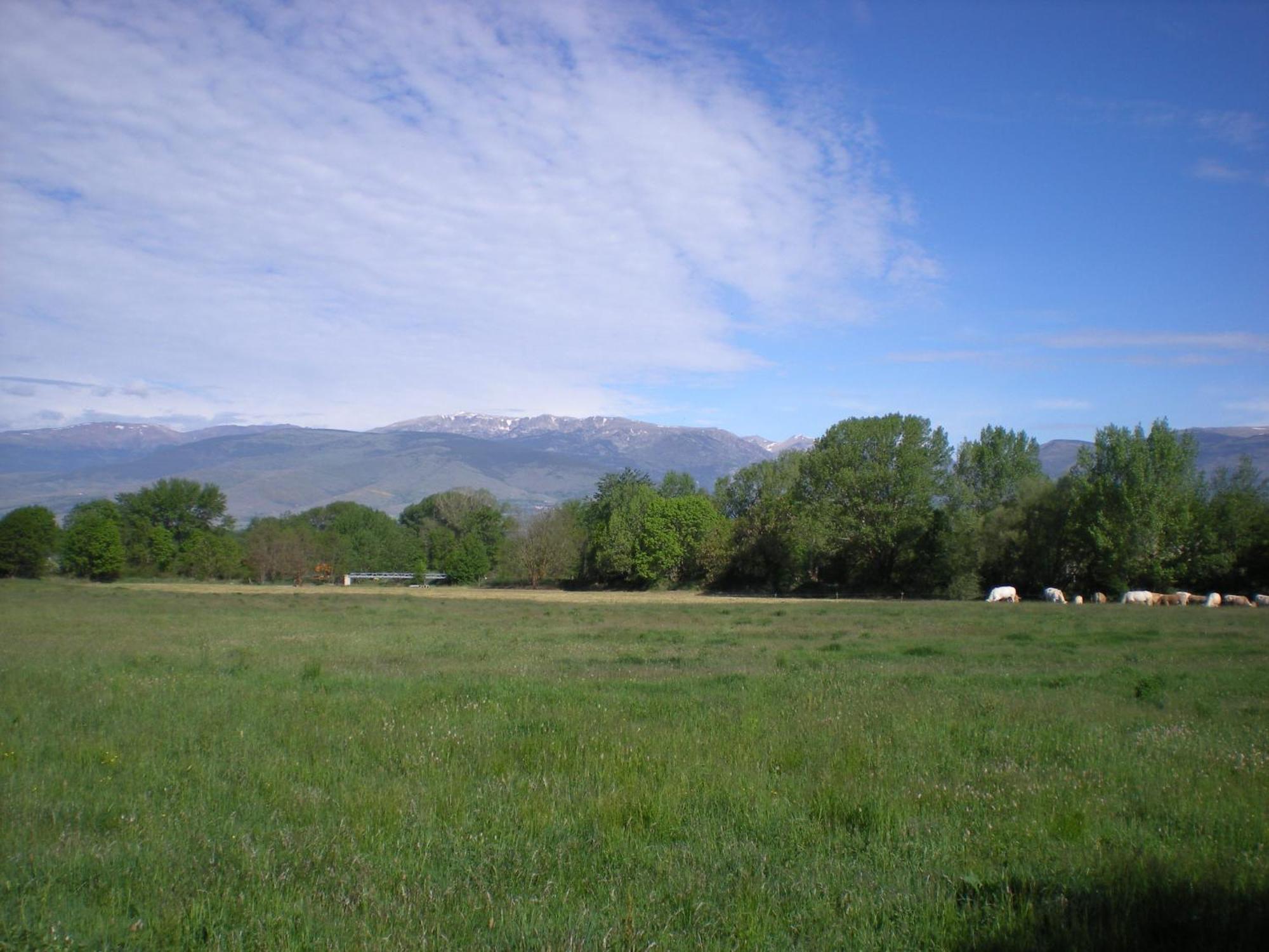 Camping Las Asperas*** Palau-de-Cerdagne Luaran gambar